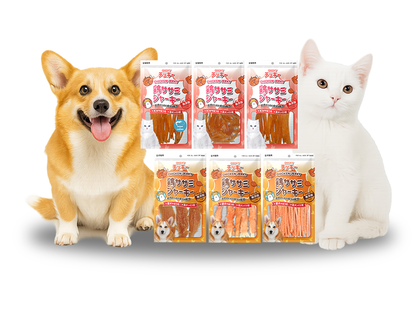 ชิกกี้ เจอร์กี้ Chicky jerky