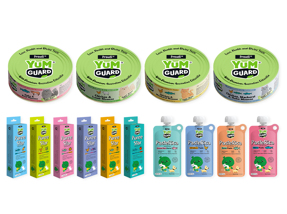 ยัมการ์ด Yum guard yumguard