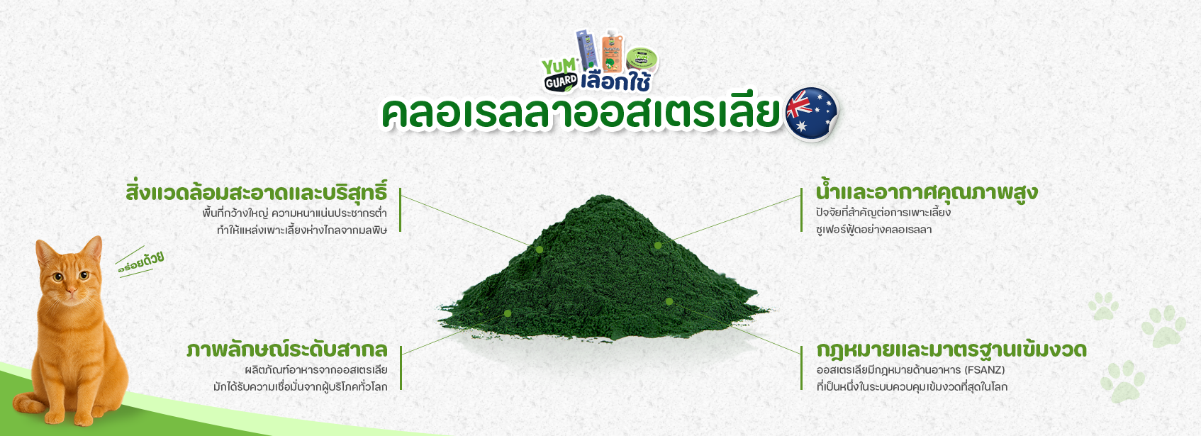คลอเรลลา (Chlorella) จากออสเตรเลีย yum guard yumguard