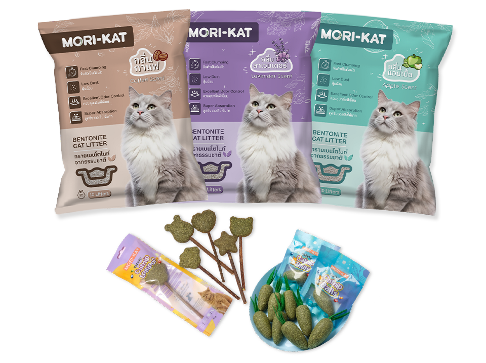 Mori Kat โมริแคท