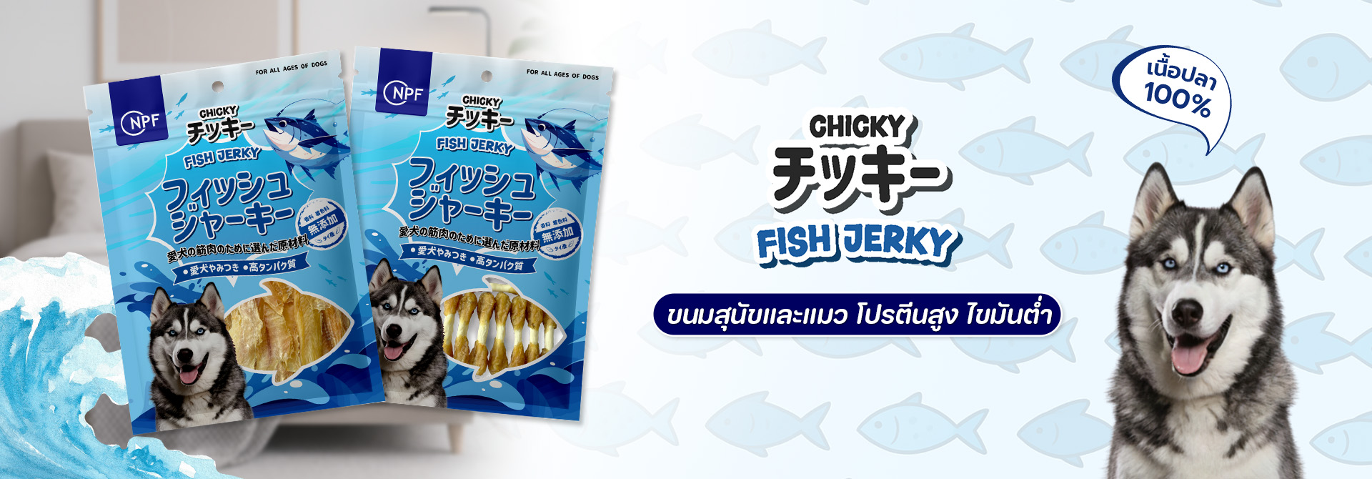 chicky headline fish