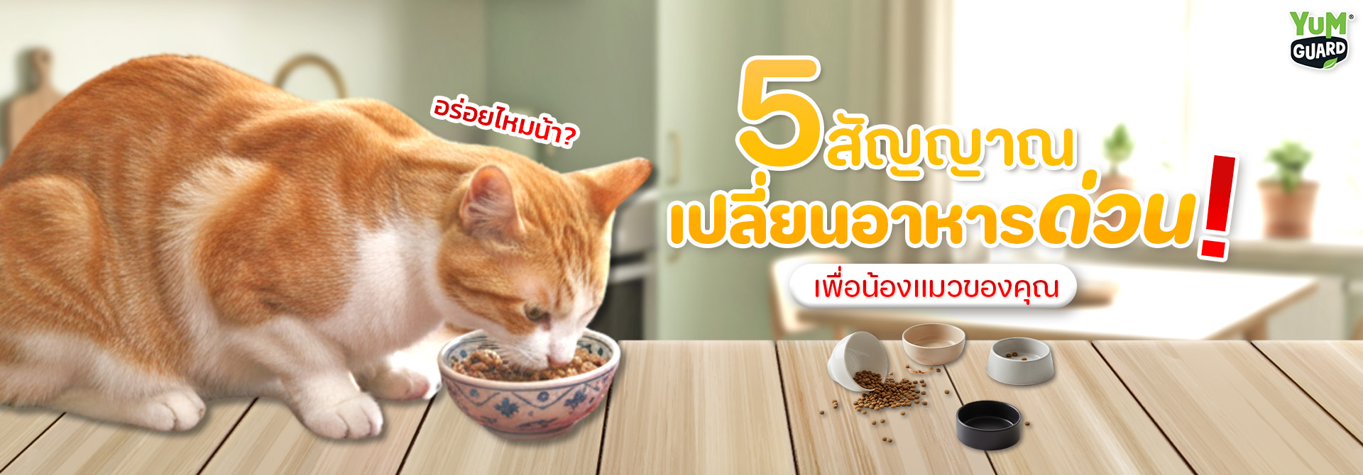 สัญญาณที่ควรเปลี่ยนอาหารแมว | ภาพแมวทำหน้างงพร้อมข้อความ 5 สัญญาณเปลี่ยนอาหารด่วน เพื่อสุขภาพที่ดีของน้องแมว