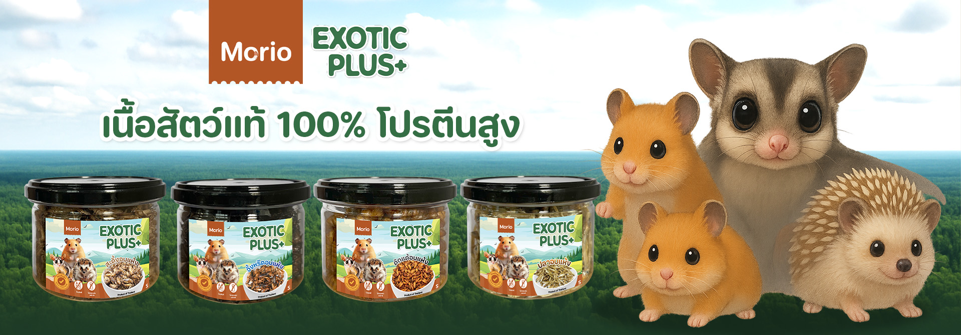 Morio hamster food01