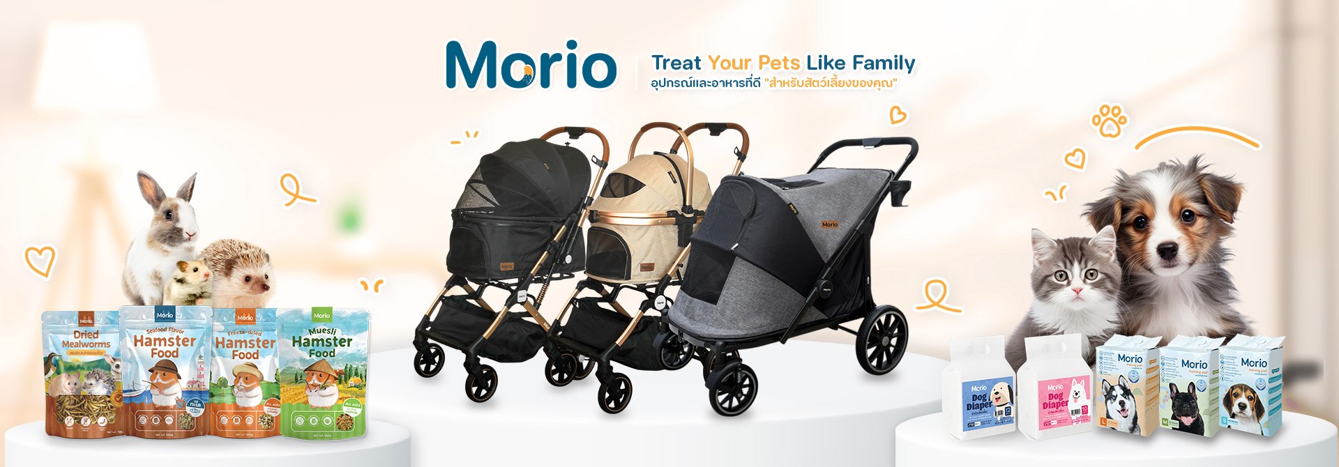 home morio websize 09