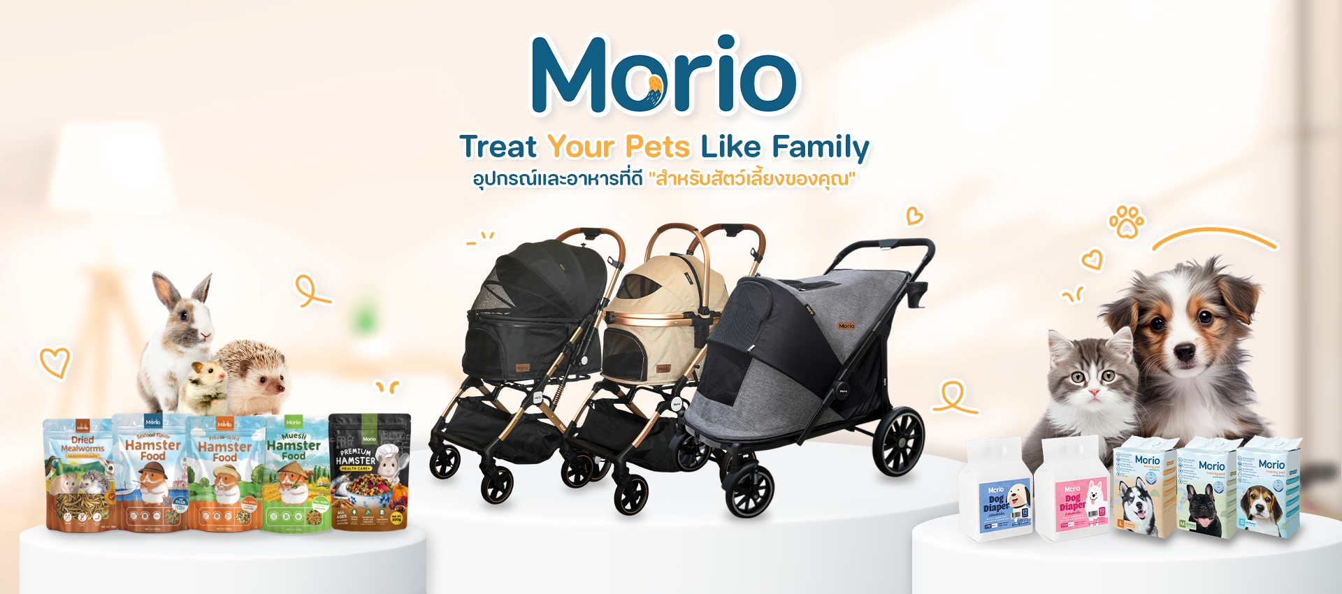 2026home morio websize