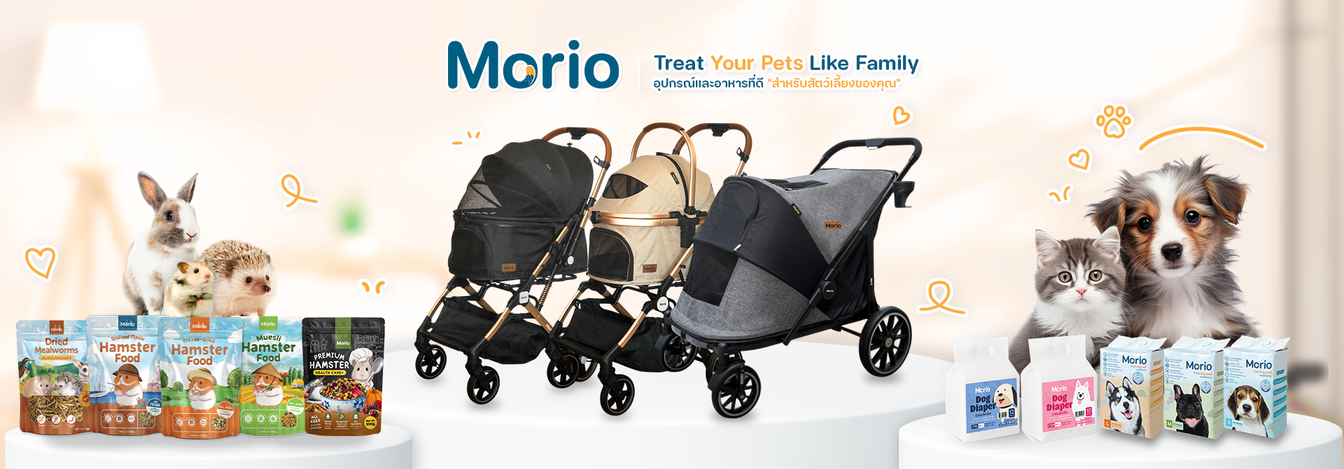 home morio websize head2026